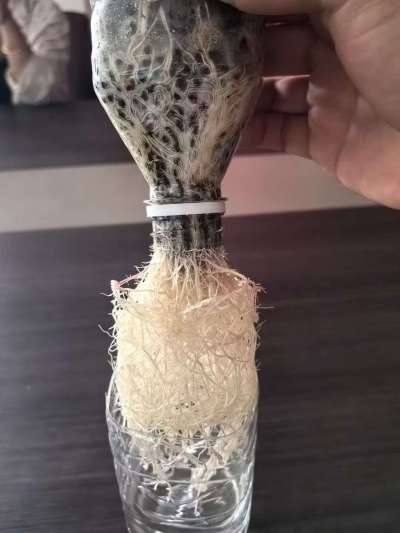 年销售量三十万吨的有机肥生产厂家，全国网点发货，资质齐全，正品保障！有机肥、生物菌肥、微生物肥料等