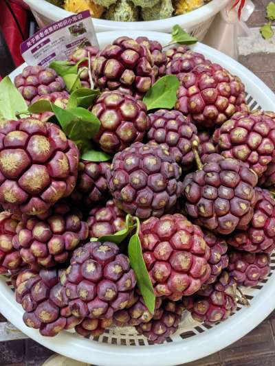 认水果，有认识的吗？