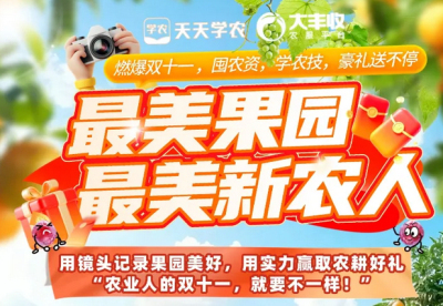 丰农控股2025年 &ldquo;最美果园&rdquo;&ldquo;最美新农人&rdquo; 评选活动启动，助力农业风采展示