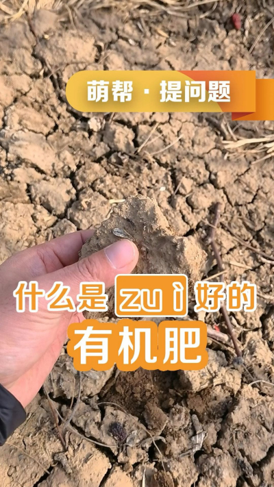 什么是最好的有机肥