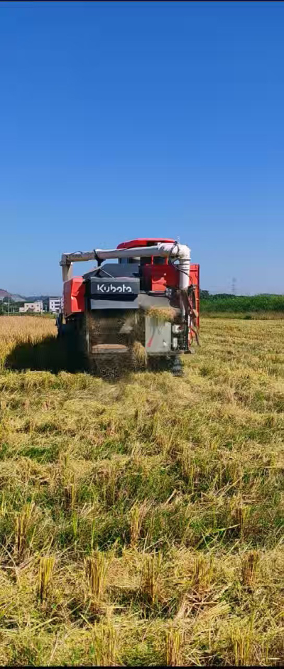 惠州基地，无人拖拉机收水稻了。