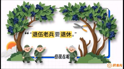 第7节：修剪决定产量（下）&mdash;&mdash;结果树的更新与疏果，课程：《蓝莓&ldquo;高产&rdquo;实战课：从选苗到丰收的10个关键点》