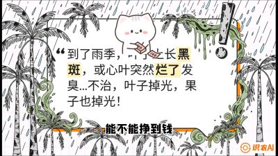 第05节：常见真菌病害&mdash;&mdash;&ldquo;炭疽与烂心，早防值千金&rdquo;《槟榔种植：从不懂到精通的10堂必修课》