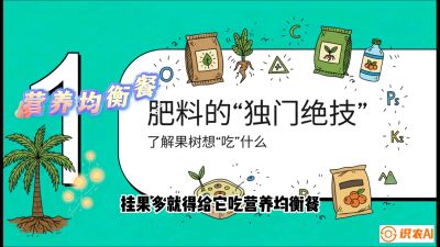 第07节：科学施肥&mdash;&mdash;&ldquo;氮磷钾配好，树壮果不倒