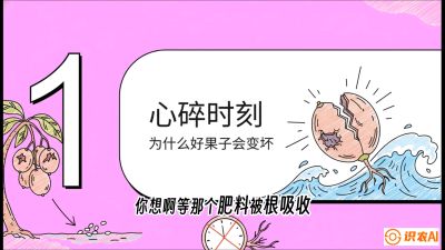 第08节：微量元素与保果&mdash;&mdash;&ldquo;补硼又补钙，果子不裂坏&rdquo;《槟榔种植：从不懂到精通的10堂必修课》