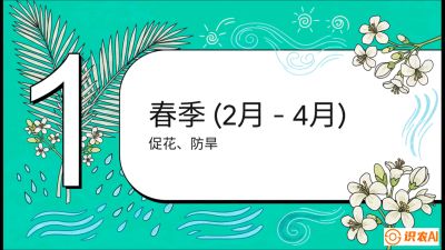 第10节：周年农事日历&mdash;&mdash;&ldquo;跟着节气走，丰产在手头&rdquo;《槟榔种植：从不懂到精通的10堂必修课》