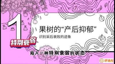 第2节：【冬肥策略】采后&ldquo;月子肥&rdquo;：大小年的精准干预术，课程：《柑橘底肥&ldquo;翻身账&rdquo;：从改土到高产的实战全书》