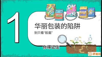 第4节：【黄金配方】底肥里的&ldquo;铁三角&rdquo;与&ldquo;微量雷区&rdquo;课程：《柑橘底肥&ldquo;翻身账&rdquo;：从改土到高产的实战全书》