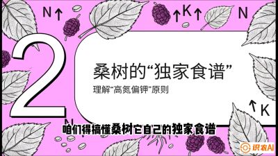 第04节：地下核动力&mdash;&mdash;桑树专用水肥一体化配方，课程：《桑海淘金：桑树高产与蚕桑安全进阶实战课》