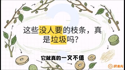 第12节：变废为宝&mdash;&mdash;循环农业实操，课程：《桑海淘金：桑树高产与蚕桑安全进阶实战课》