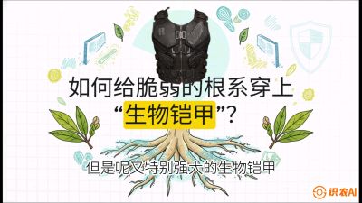 第三节：国产榴莲突围战：根系堡垒，菌根微生态构建与黄金定植窗口，课程：《国产榴莲突围战：从泰国经验到中国实操的8堂必修课（高阶实战版）》