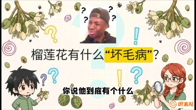 第六节：榴莲的午夜战事，夜间授粉战与花果期避雨策略，课程：《国产榴莲突围战：从泰国经验到中国实操的8堂必修课（高阶实战版）》