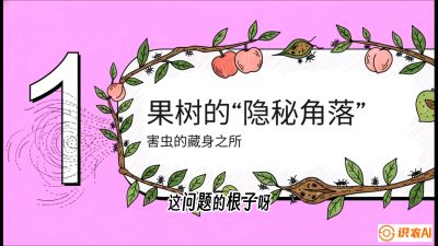 第3节：无人机专治&ldquo;打不透&rdquo;&mdash;&mdash;果树与高杆作物的穿透技巧，课程：《无人机植保搞钱必修课：从&ldquo;瞎飞&rdquo;到&ldquo;懂行&rdquo;的6步进阶》