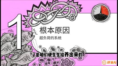 第三节：【爆款单品&middot;加州鲈】从&ldquo;玻璃鱼&rdquo;到&ldquo;摇钱树&rdquo;的通关秘籍，课程：《黄金鳞甲：2025中国淡水鱼高效养殖实战营》
