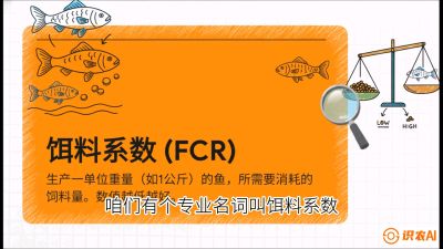 第五节：【高端单品&middot;鳜鱼】&ldquo;饲料鳜&rdquo;技术：打破吃活饵的高成本魔咒，课程：《黄金鳞甲：2025中国淡水鱼高效养殖实战营》