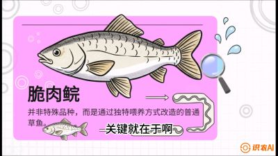 第六节：【老品升级&middot;脆肉鲩】如何让草鱼身价翻倍？，课程：《黄金鳞甲：2025中国淡水鱼高效养殖实战营》