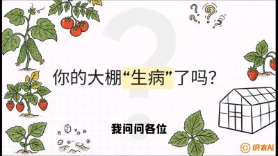 第2节（解毒篇）： 大棚里的&ldquo;红白绿&rdquo;警报&mdash;&mdash;读懂土壤盐渍化的求救信号，课程：《揭秘土壤的秘密：让土地帮你赚钱》#识农AI