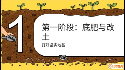 第6节（统筹篇）： 省钱又增产的&ldquo;黄金配比&rdquo;&mdash;&mdash;不同作物全年的养土实操方案，课程：《揭秘土壤的秘密：让土地帮你赚钱》#识农AI