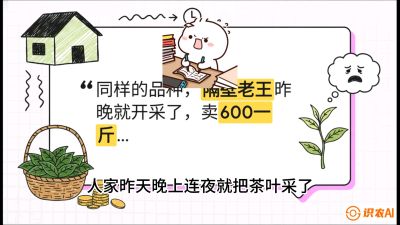 第01节（抢早篇）：与老天爷抢饭吃：如何利用&ldquo;温差阈值&rdquo;让头采茶提前5天上市？，课程：《茶金时代：从&ldquo;看天吃饭&rdquo;到&ldquo;精准控局&rdquo;的茶叶高产提质实战课》