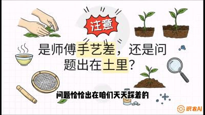 第02节（土肥篇）：告别&ldquo;苦涩水味&rdquo;：揭秘&ldquo;碳氮比&rdquo;调控术，种出自带兰花香的好茶底，课程：《茶金时代：从&ldquo;看天吃饭&rdquo;到&ldquo;精准控局&rdquo;的茶叶高产提质实战课》