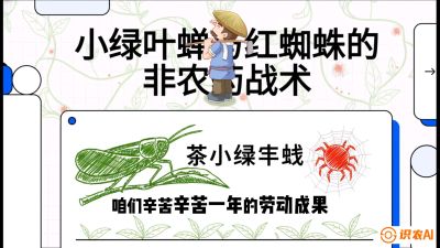 第03节（虫害篇）：看不见的吸血鬼：小绿叶蝉与红蜘蛛的&ldquo;非农药&rdquo;团灭战术（抗性治理），课程：《茶金时代：从&ldquo;看天吃饭&rdquo;到&ldquo;精准控局&rdquo;的茶叶高产提质实战课》