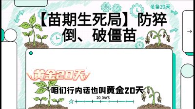第2节：【苗期生死局】防猝倒、破僵苗，决定后期产量的&ldquo;黄金20天&rdquo;，课程：《辣椒种植实战特训营，从工业辣椒到精品小米辣，教你如何把&ldquo;草&rdquo;种成&ldquo;金&rdquo;》