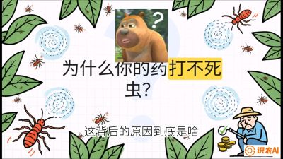 第4节：【虫害歼灭战】打不死的蓟马、隐形的茶黄螨：抗性时代的&ldquo;混配绝杀&rdquo;，课程：《辣椒种植实战特训营，从工业辣椒到精品小米辣，教你如何把&ldquo;草&rdquo;种成&ldquo;金&rdquo;》