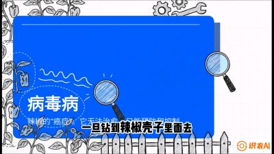 第5节：【病毒病阻击】辣椒的&ldquo;癌症&rdquo;怎么治？从&ldquo;绝收恐慌&rdquo;到&ldquo;带毒生产&rdquo;的逆转术，课程：《辣椒种植实战特训营，从工业辣椒到精品小米辣，教你如何把&ldquo;草&rdquo;种成&ldquo;金&rdquo;》