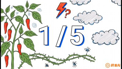 第6节：【花果爆发术】落花落果的五大元凶，与&ldquo;三喷一保&rdquo;坐果黑科技，课程：《辣椒种植实战特训营，从工业辣椒到精品小米辣，教你如何把&ldquo;草&rdquo;种成&ldquo;金&rdquo;》