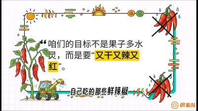 第7节：【工业辣椒专场】追求极致辣度！干物质提升与机械化采收的&ldquo;催红秘籍&rdquo;，课程：《辣椒种植实战特训营，从工业辣椒到精品小米辣，教你如何把&ldquo;草&rdquo;种成&ldquo;金&rdquo;》