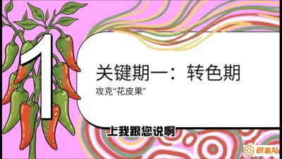 第8节：【小米辣线椒专场】颜值即正义！防花皮、防炭疽，打造收购商抢着要的&ldquo;精品果&rdquo;，课程：《辣椒种植实战特训营，从工业辣椒到精品小米辣，教你如何把&ldquo;草&rdquo;种成&ldquo;金&rdquo;》