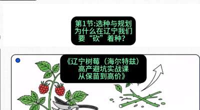 第一节： 选种与规划&mdash;&mdash;为什么在辽宁我们要&ldquo;砍&rdquo;着种？，课程：《辽宁树莓（海尔特兹）高产避坑实战课：从保苗到高价》