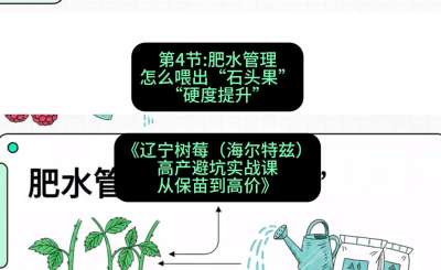 第四节： 肥水管理&mdash;&mdash;怎么喂出&ldquo;石头果&rdquo;（硬度提升），课程：《辽宁树莓（海尔特兹）高产避坑实战课：从保苗到高价》
