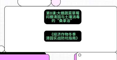 第8节：【大棚蔬菜草莓】闷棚清园与土壤消毒的&ldquo;桑拿浴&rdquo;，课程：《经济作物冬季清园&middot;实战防坑指南》#识农AI