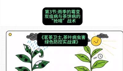第03节：雨季的霉变&mdash;&mdash;炭疽病与茶饼病的&ldquo;抢晴&rdquo;战术，课程：《茗茶卫士&mdash;&mdash;茶叶病虫害绿色防控实战课》#识农AI