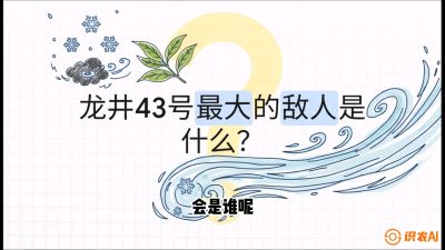第04节：龙井双璧&mdash;&mdash;龙井43与群体种的差异化护养（重点），课程：《茗茶卫士&mdash;&mdash;茶叶病虫害绿色防控实战课》#识农AI