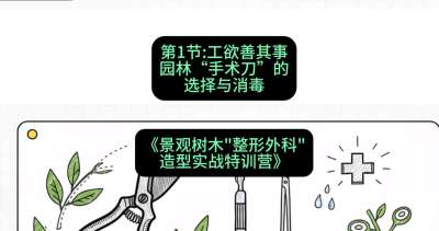 第01节：工欲善其事&mdash;&mdash;园林&ldquo;手术刀&rdquo;的选择与消毒，课程：《景观树木&ldquo;整形外科&rdquo;造型实战特训营》#识农AI