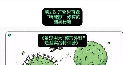 第02节：万物皆可盘&mdash;&mdash;&ldquo;精球形&rdquo;修剪的圆润秘籍，课程：《景观树木&ldquo;整形外科&rdquo;造型实战特训营》#识农AI