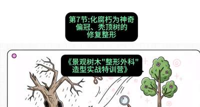 第07节：化腐朽为神奇&mdash;&mdash;偏冠、秃顶树的修复整形，课程：《景观树木&ldquo;整形外科&rdquo;造型实战特训营》#识农AI