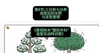 第08节：三分剪七分养&mdash;&mdash;造型后的水肥与定型管理，课程：《景观树木&ldquo;整形外科&rdquo;造型实战特训营》#识农AI